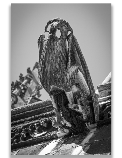 Cartouche2048ombré 2 1 400x516