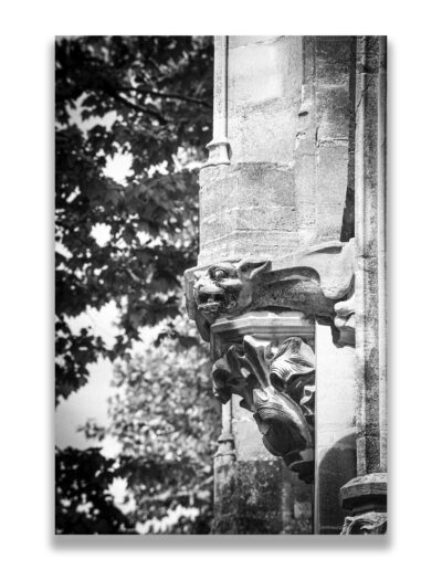 Arras Cathédrale