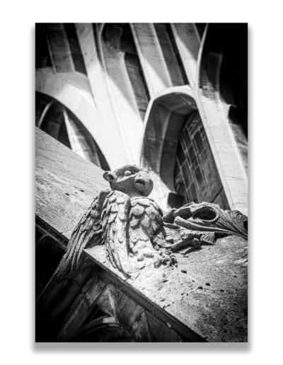Arras Cathédrale