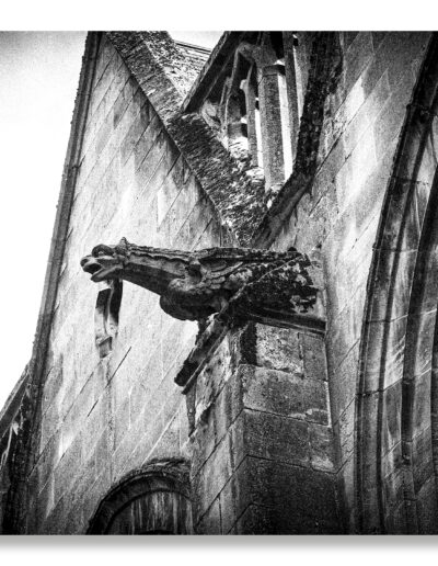 Arras Cathédrale