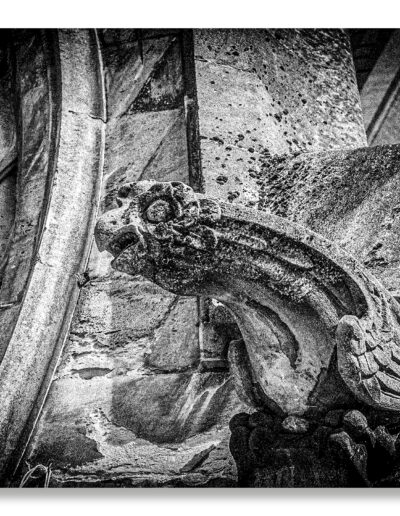 Arras Cathédrale